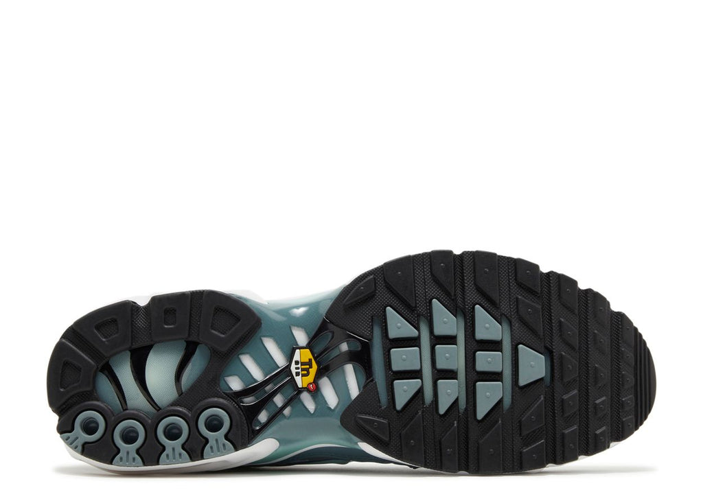 Air Max Plus 'Palm Pack - Waterway' - Kicks Loft